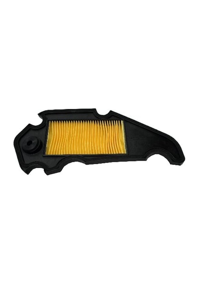 Scooter 150 Zc Filtre Elemanı (545206167)