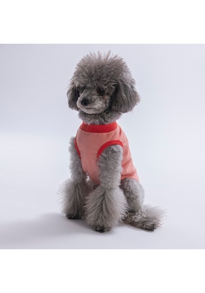 Pink-pembe All Good Days Kedi Köpek Tişörtü-kedi Köpek Kıyafeti