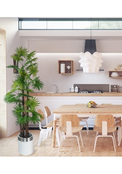 Yapay Ağaç Yelpaze Palmiye 4katlı Fanpalm 32 Yaprak Gümüş Kemerli Beyaz Saksıda 170 65cm