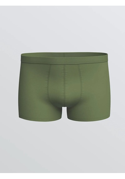 Lc Waikiki Yeşil Standart Kalıp Pamuklu Esnek Erkek Boxer 3'lü