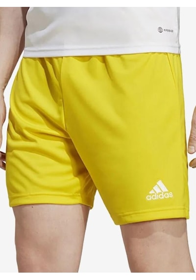 Adidas Entrada 22 Short Erkek Futbol Şortu Sari