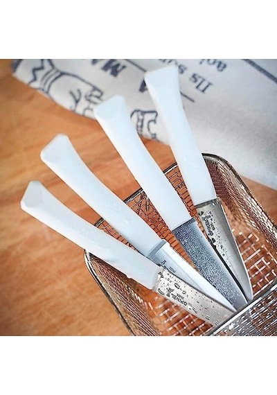 Opinel Bon Appetit 4 Parça Paslanmaz Sofra Bıçağı Açık Ceviz Opinel Bon Appetit 4 Parça Paslanmaz Sofra Bıçağı Açık Ceviz