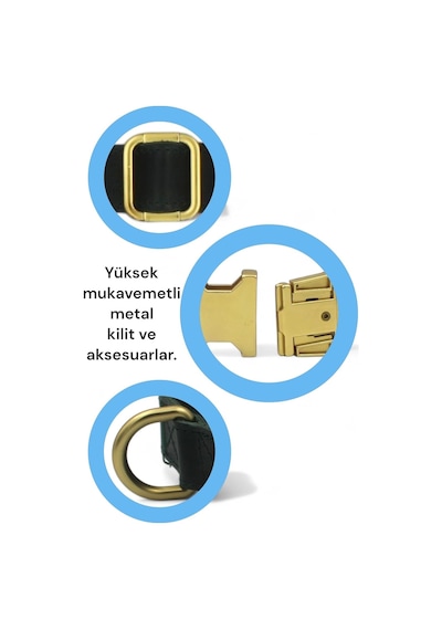 Caramelos- Hakiki Deri Köpek Boyun Tasması, Kişiye Özel Künyeli-küçük Ve Orta Irk- 2cm Bordo-tek Ebat Çok Renkli