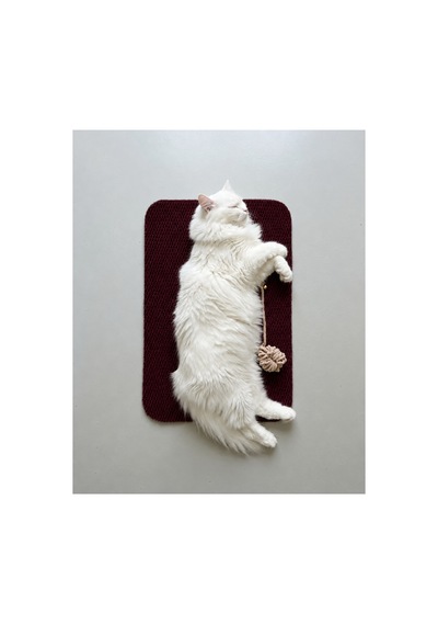 Kedi Tırmalama Paspası Çıngıraklı Toplu Oyun Halısı Kedi Yatma Dinlenme Alanı Tırmalama Matı Ev İçi Kedi Oyuncağı