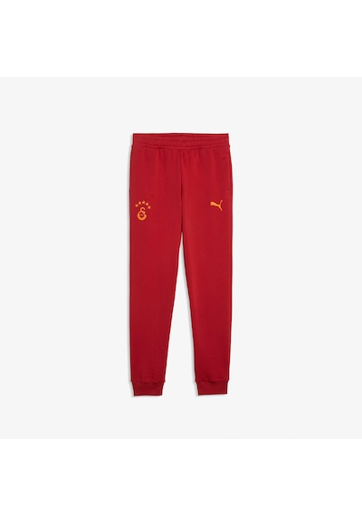 Puma Galatasaray 26/27 Çocuk Kırmızı Eşofman Altı 786580 Gri