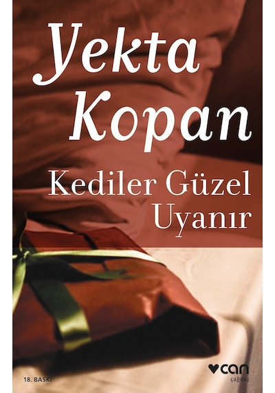 Kediler Güzel Uyanır  - Yekta Kopan - Can Yayınları