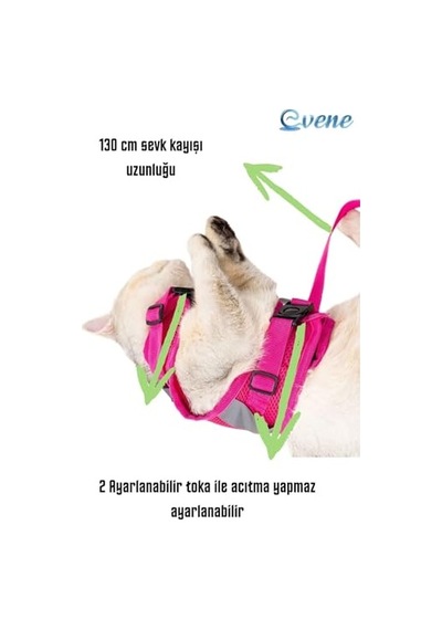 Kedi Tasması Göğüs Boyun Tasma Seti Sevk Kayışlı Terletmeyen Nefes Alan Reflektörlü Tasma M, Pembe