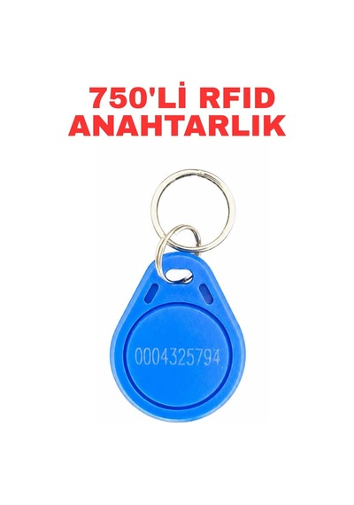 Sr-600 I Proximity Anahtarlık 125 Khz Rfıd Keyfob Kopyalanamaz Geçiş Kontrol Anahtarı 750 Adet