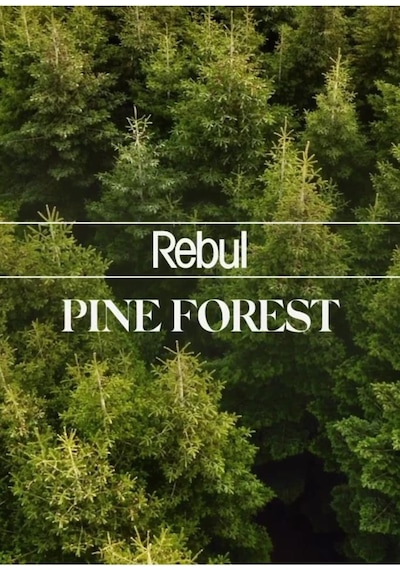 Rebul Kolonyalı Mendil Pine Forest 50 Adet 50'li Set