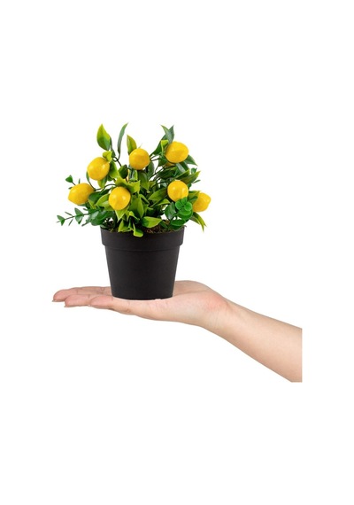 3’Lü Set Siyah Mini Plastik Saksıda Yapay Kokina, Aloe Vera Ve Li