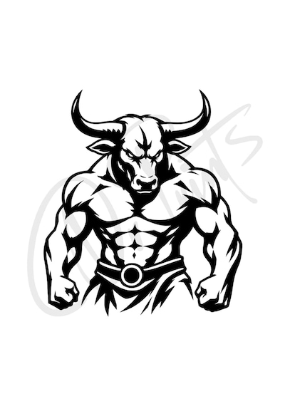 Araç Sticker Otomobil Motosiklet Özelleştirme 02