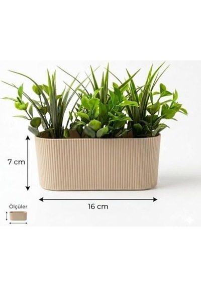 Dekoratif Yapay Sukulent Bitki Saksısı Modern Masaüstü Yapay Bitki Aranjmanı, Dekoratif Plastik Saksı İle Ev, Ofis Ve Raf Dekoru 16 X 7 Cm 50 x 22 Dekoratif Yapay Sukulent Bitki Saksısı Modern Masaüstü Yapay Bitki Aranjmanı, Dekoratif Plastik Saksı İle Ev, Ofis Ve Raf Dekoru 16 X 7 Cm 50 x 22