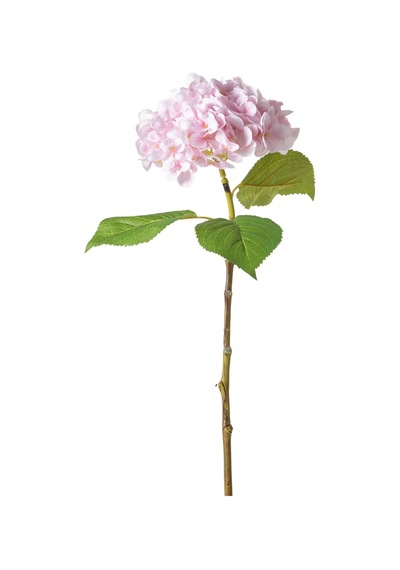 Mudo Home Pembe Ortanca Tekli Çiçek 47cm 696123