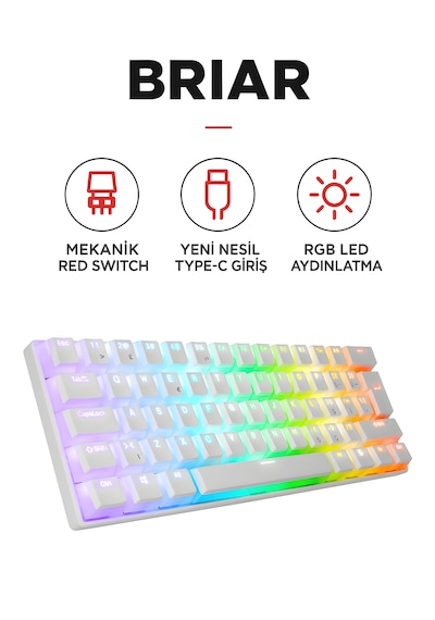Briar Type-c Bağlantılı Rgb Puding Tuşlu Mekanik Red Switch Türkçe