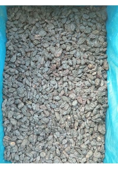 Toptan Çekirdeksiz Özbek Üzüm 10 Kg 10 KG