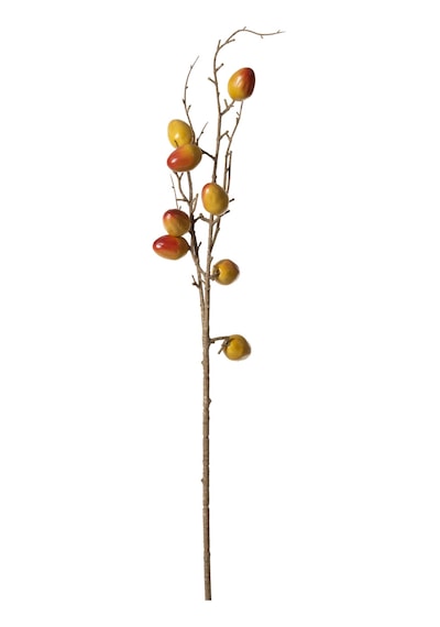 Mudo Home Natural Meyve Dal Çiçek 75 Cm Diğer