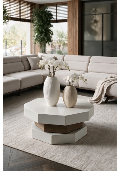 2'li Vazo Set - Kuru Çiçek Vazosu - Modern Salon Dekoru, Hediyelik - Beyaz/bej