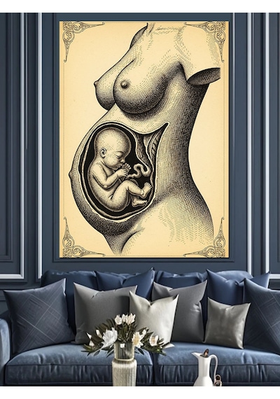 Anne Karnı Fetal Gelişim Dekoratif Kanvas - Mdf Ahşap Tablo