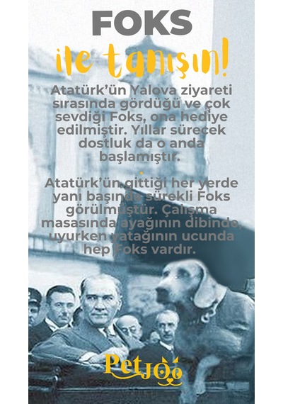 Petjoo 29.Foks Sarı-Gri Qr'lı Köpek Künyesi