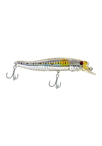Fatfish Challenger Forma Gloss 90 Trans İwashi