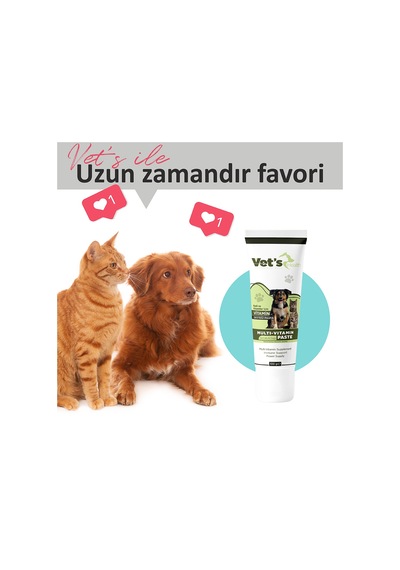 Vet's Health Multi-Vitamin Paste Kedi Köpekler İçin Vitamin Destek 2 x 100 G