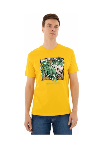 AR-MA Arma Erkek Regular Fit Bisiklet Yaka Tişört Y25344403501 Sarı