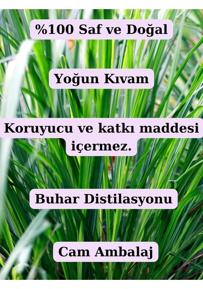 %100 Saf Limon Otu Uçucu Yağı - 10 Ml 20 ML