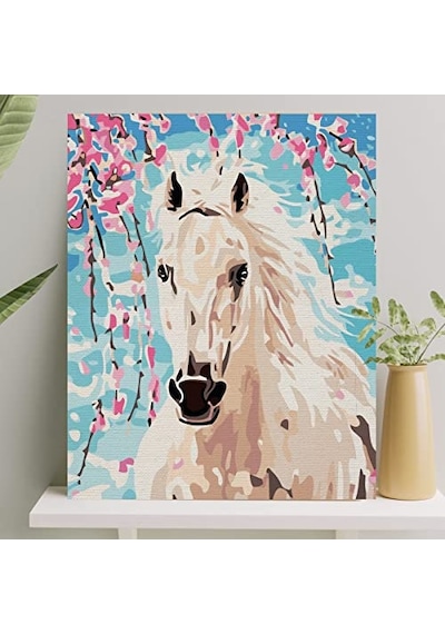 Sayılarla Boyama Tuval Seti Fırça Boya Dahil Çıtalı 40x50 Cm - Beyaz At