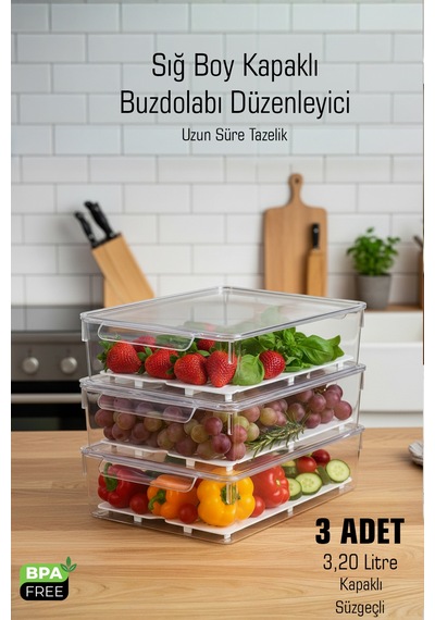 Sığ Boy Frostybox Kapaklı Süzgeçli Buzdolabı Düzenleyici Ve Dolap İçi Organizer 3 Adet Diğer