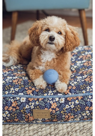 Ayrex Harry Barker Kauçuk Toplar Ve Kauçuk Çiğneme Çubuğu, Köpekler İçin Kauçuk Kemik - 2,5 İnç Kauçuk Toplar