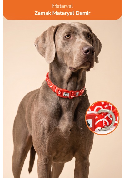 Köpekler İçin Dayanıklı Ve Güvenli, Desenli Boyun Tasması 25mm Kırmızı