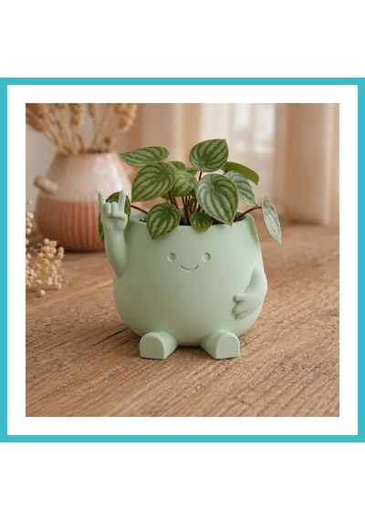 Bezos 3d Baskı Smiley Face Planter - Gülümseyen Karakterli Saksı-mint Dfnbez