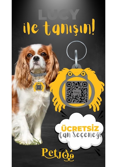 Petjoo 11.Lucy Sarı-Gri Qr'lı Köpek Künyesi