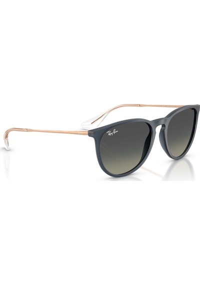 Ray-Ban Rb 4171 681311 54 Erkek Erıka Güneş Gözlüğü Siyah
