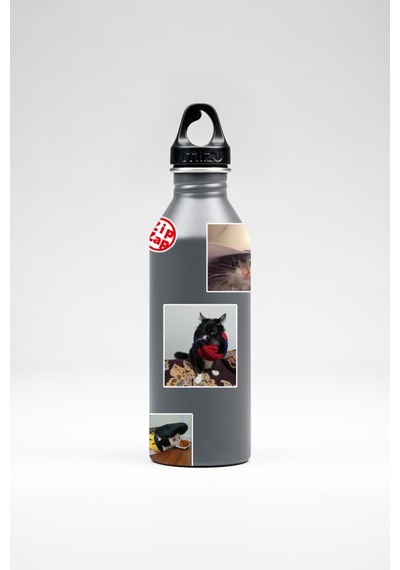 Komik Kedi Sticker Paketi 20 Adet Çok Renkli