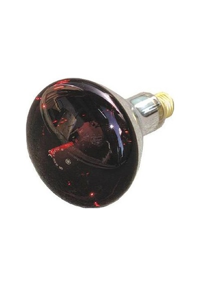 General 250 Watt Infrared Ampul Red
