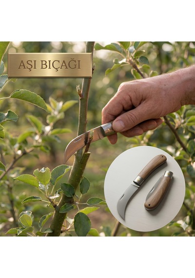 A.şı Bıçağı Eğri Uçlu Ara Çakı Bağ Bıçağı Paslanmaz Çelik Ahşap Saplı Katlanır Bıçak 21 Cm