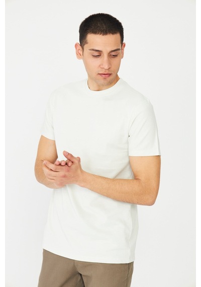 Ekru Basic Bisiklet Yaka Erkek T-shirt Fildişi