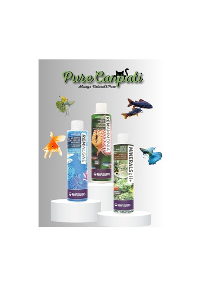 Purecanpati Yosun Giderici Amonyak Giderici ve Mineral Seti