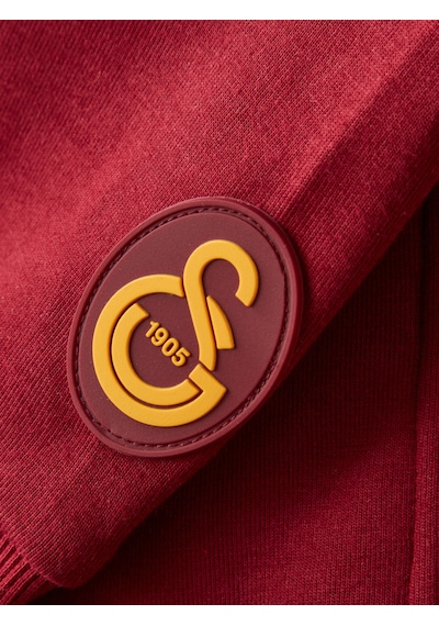 Gsstore Galatasaray Erkek Zip Hoodie E252113 Bordo