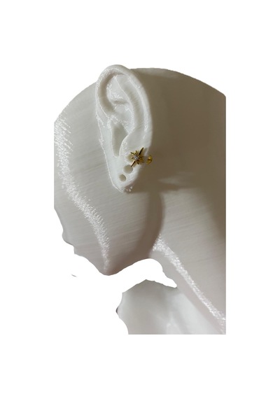 Minimal Kutup Yıldızı Kıkırdak Tragus Helix Pearsıng Küpe 316l Çelik Altın