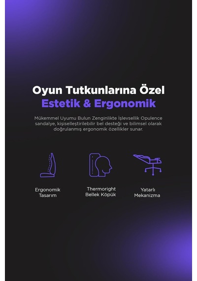 Knight Series Premium Siyah Oyuncu Koltuğu, Geriye Yatılabilir, Ayarlanabilir Kolçak Çok Renkli