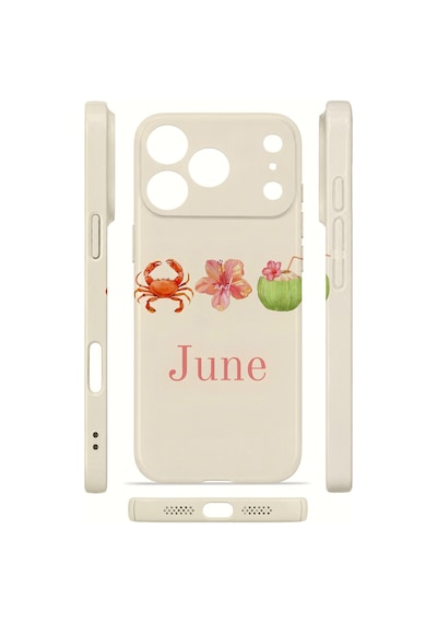 Apple iPhone Uyumlu 17 Pro Max Vorian İnce Kamera Korumalı Mika Kılıf June Seaside June Seaside Mika