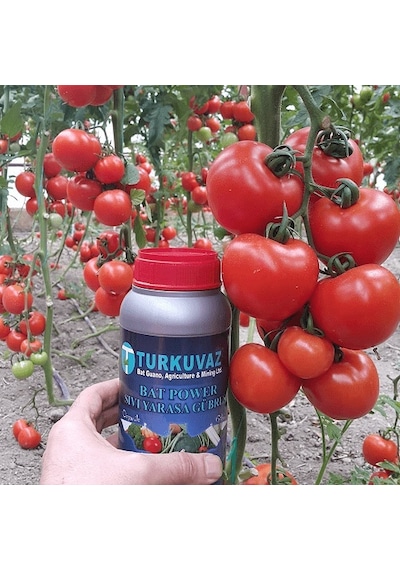 1 L Turkuvaz Bat Power Organik Sıvı Yarasa Gübresi 1 L Turkuvaz Bat Power Organik Sıvı Yarasa Gübresi