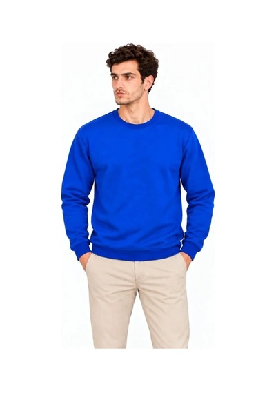 Erkek Bisiklet Yaka İçi Şardonlu 2 İplik Düz Uzun Kollu Regular Fit Sweatshirt - Mavi