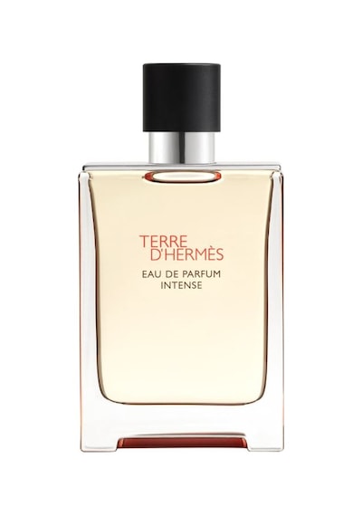 Hermes Terre Dhermes Intense Edp 100 Ml 3346130424116 Odunsu