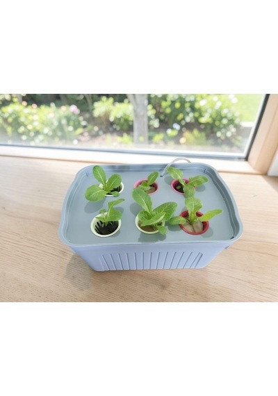 8lt Topraksız Tarım Hidroponik Box Saksı Yetiştirme Seti Small Başlangıç Seti Sadece Yetiştirme Sistemi Diğer