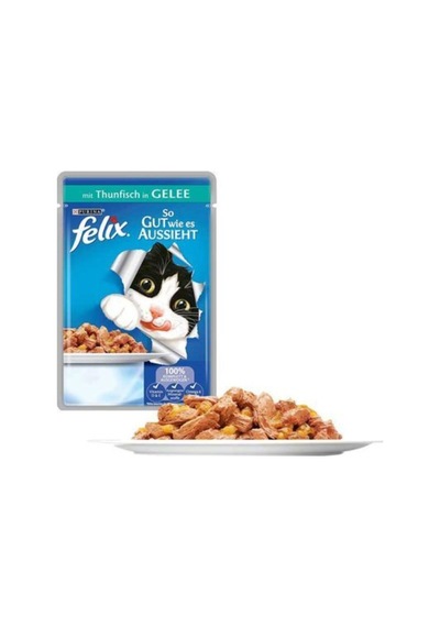 Ton Balıklı Yetişkin Kedi Pouch 85gr 20li