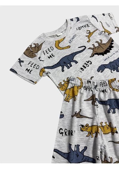Aliş Kids Erkek Çocuk Pamuklu Gri Dinozor Desenli Kısa Kollu Şortlu Yazlık Pijama Takımı