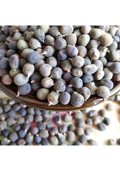 Şifa Kaynağı Doğal Bamya Tohumu 250 GRam